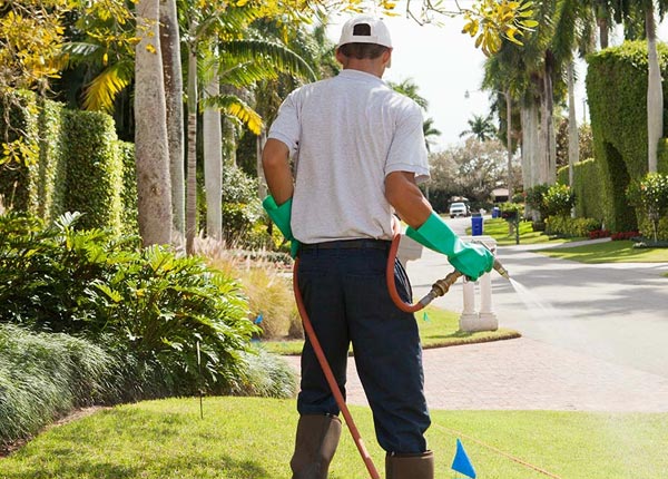 About Wakarusa KS Pest Control